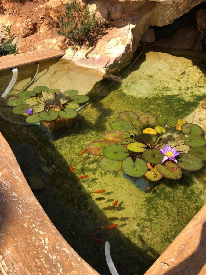 Villa Mirascopello Castellammare del Golfo Dış mekan fotoğraf